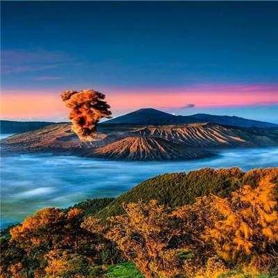 驯龙原始人游戏(暂未上线)v1.0 安卓版